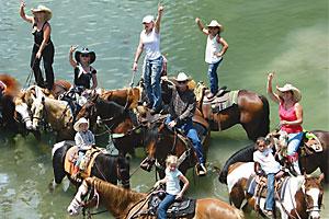 Horses in the Medina River