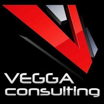 Vegga Consulting