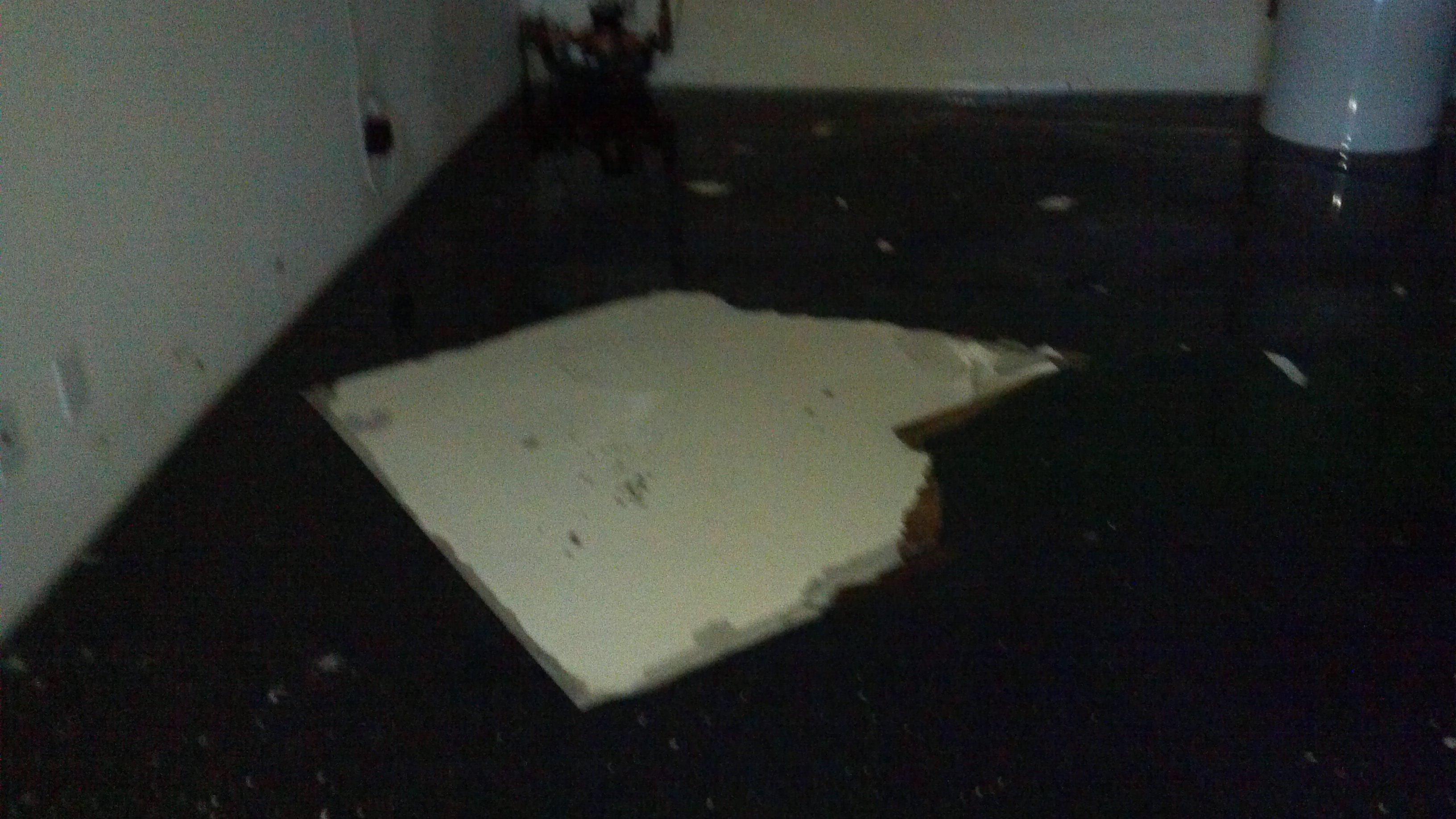 Flooded Basement