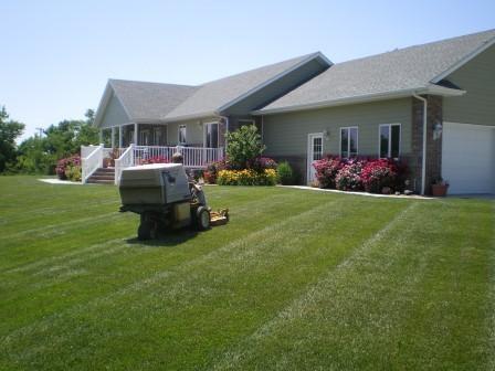 Landscaping and Lawn Care