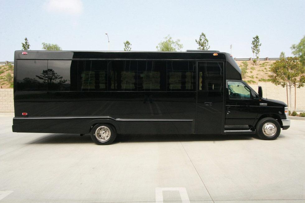 15-20 Passenger Party Bus