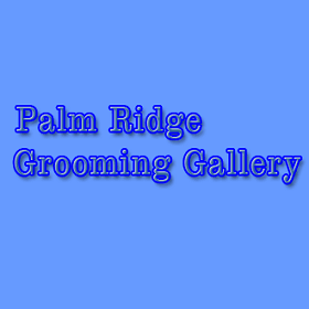 Palm Ridge Grooming Gallery