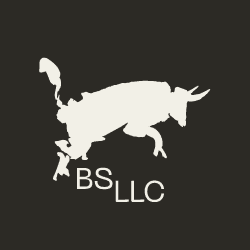 BS LLC • Grow, Differentiate, Align • Customer-First Agency