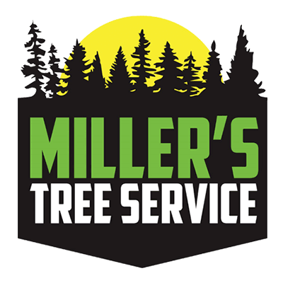 Millers Tree Service