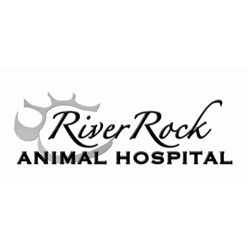 River Rock Animal Hospital