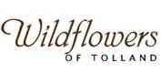 Wildflowers of Tolland