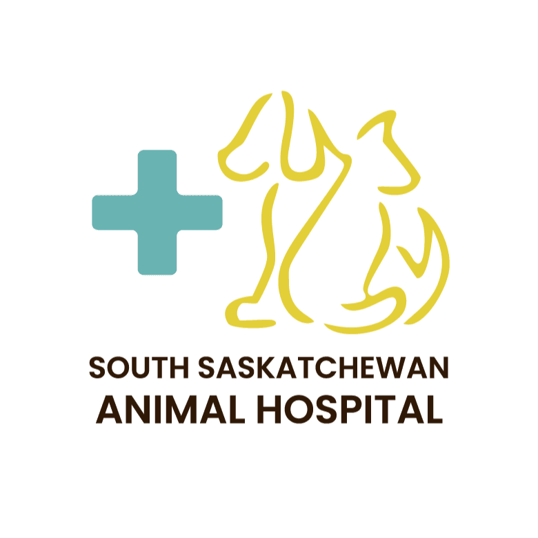 South Saskatchewan Animal Hospital