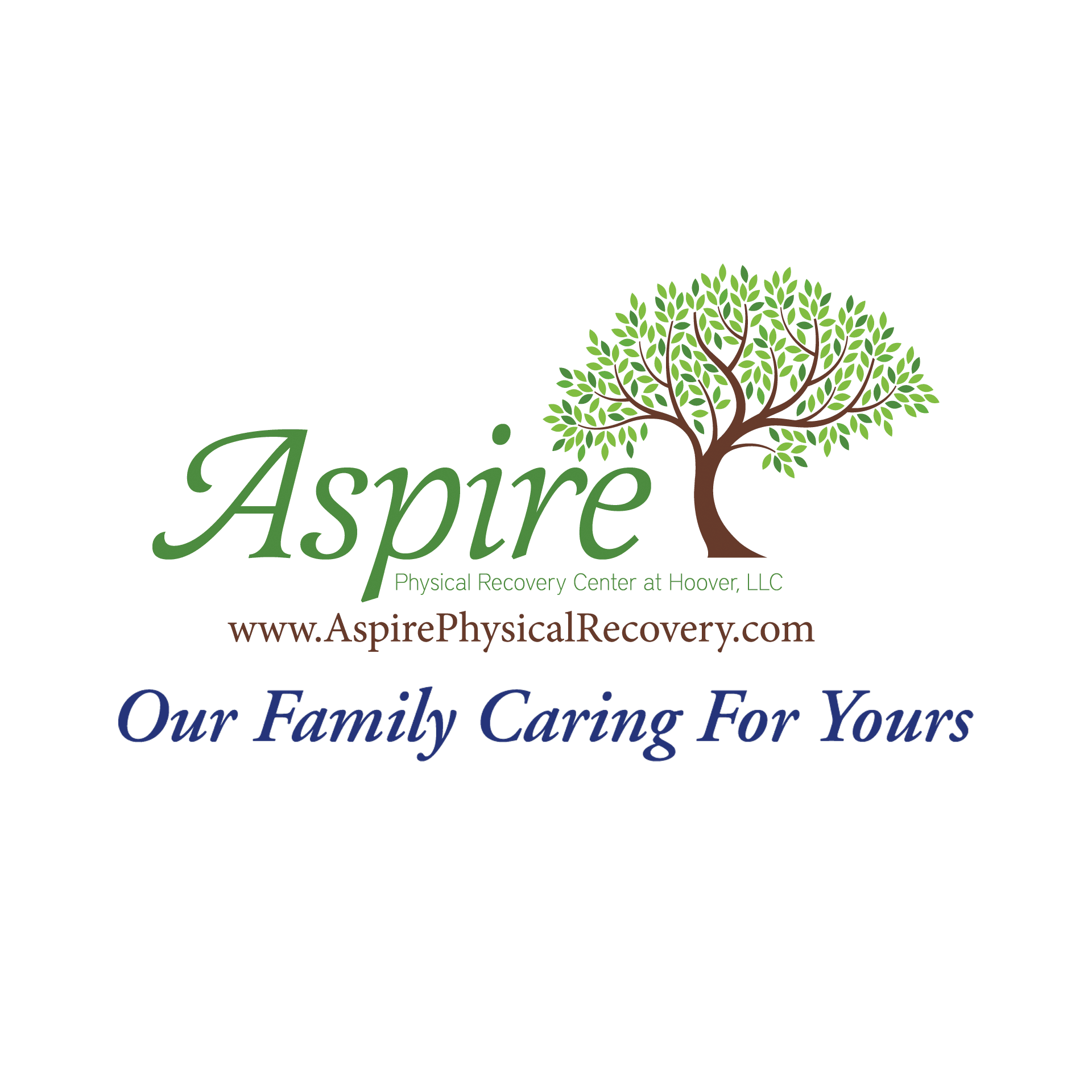 Aspire Physical Recovery Center at Hoover, LLC