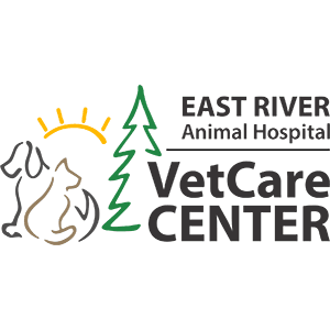 East River Animal Hospital