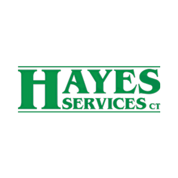 Hayes Services LLC