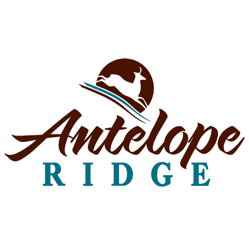 Antelope Ridge