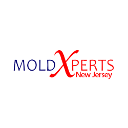 Moldxpertsnj