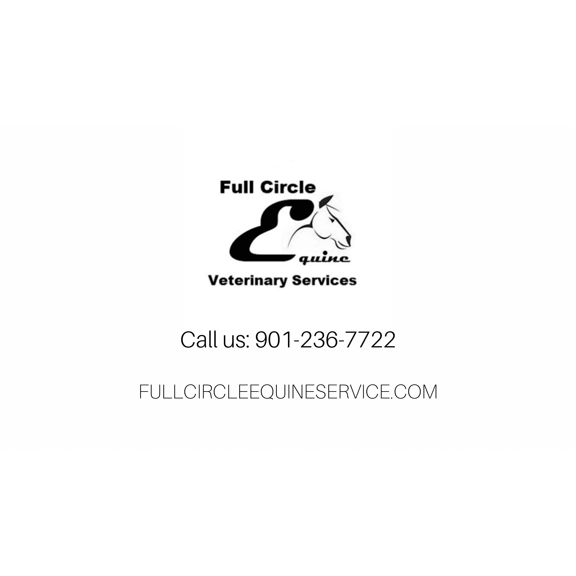 FULL CIRCLE EQUINE VETERINARY SERVICES