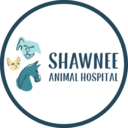 Shawnee Animal Hospital