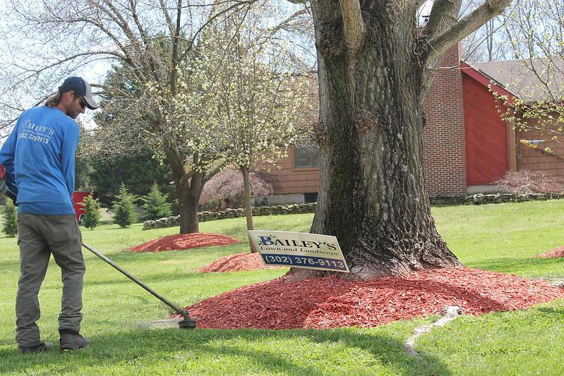 Bailey's Lawn and Landscape