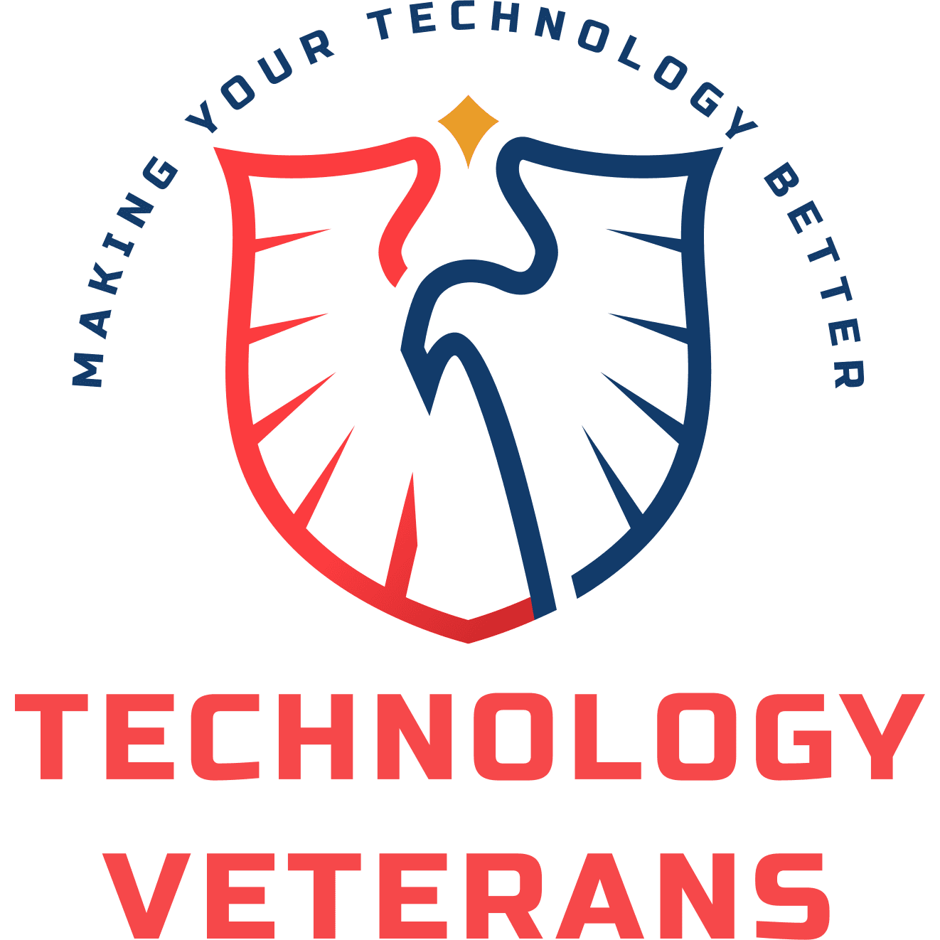 Technology Veterans LLC