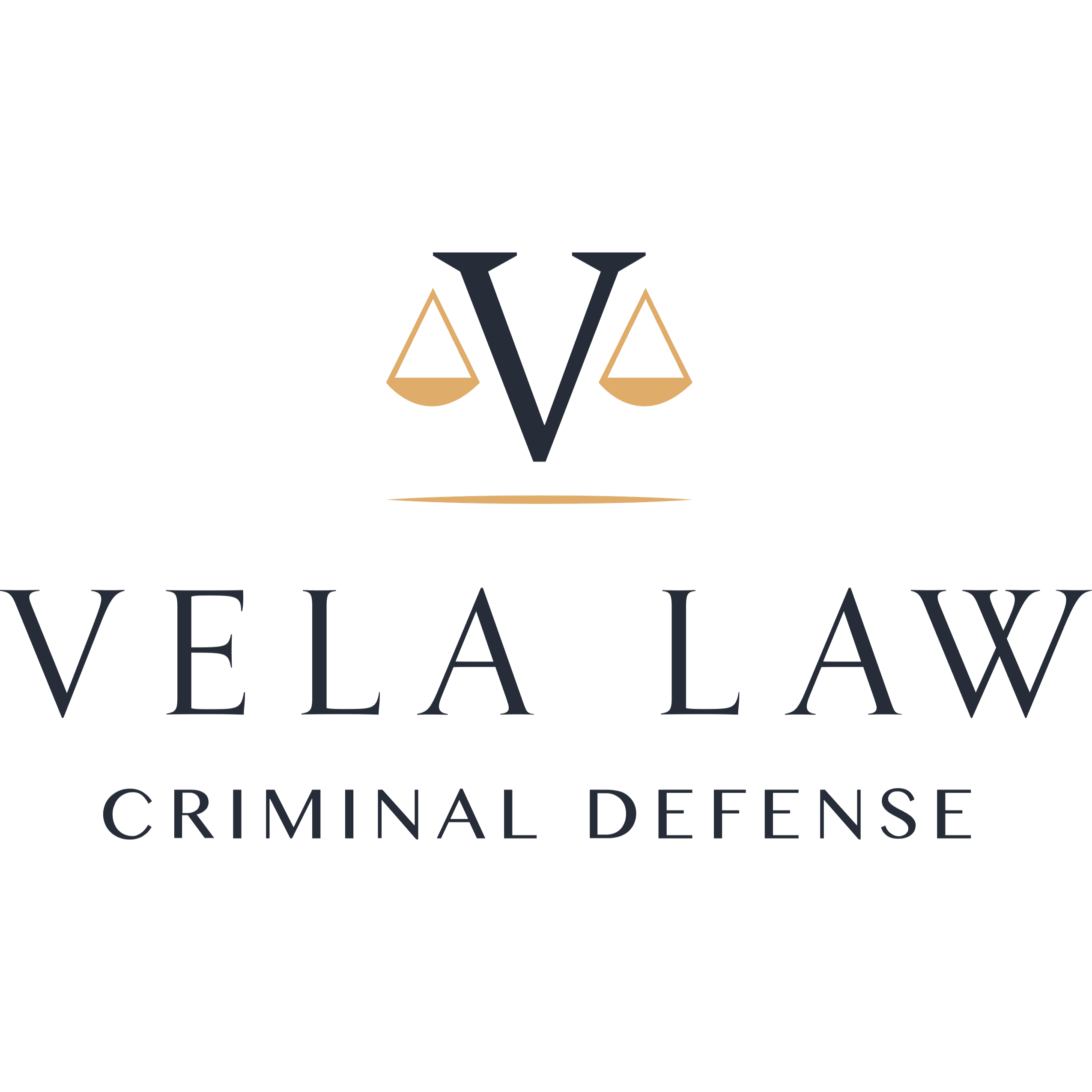 Vela Law - Williamson County