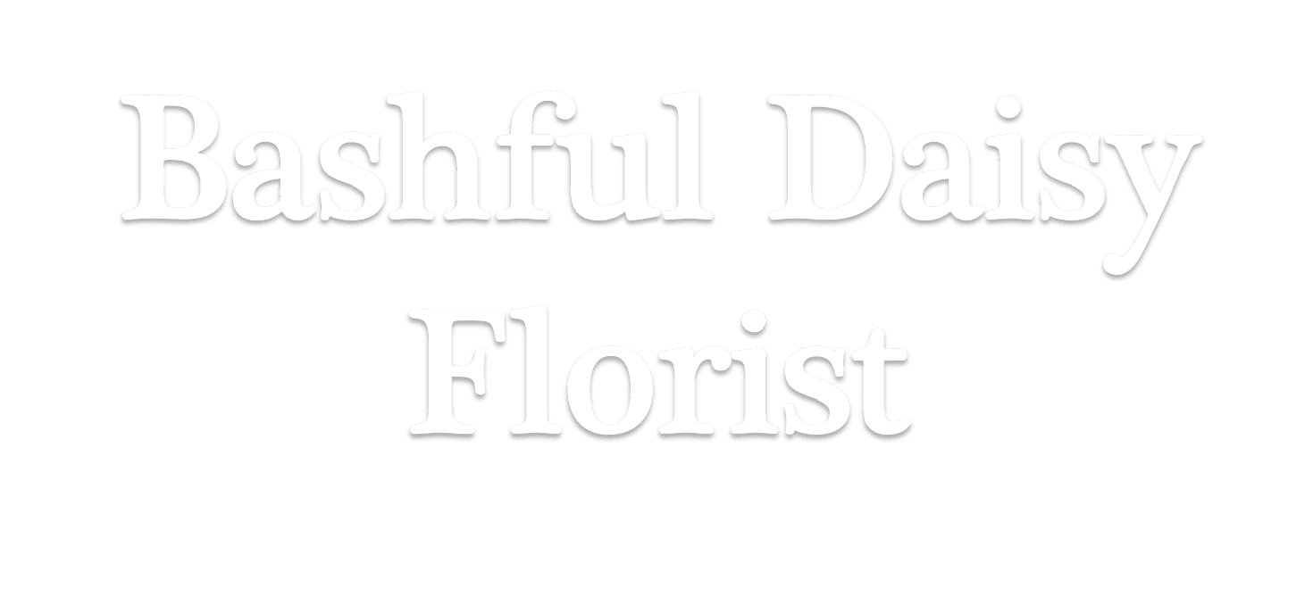 Bashful Daisy Florist