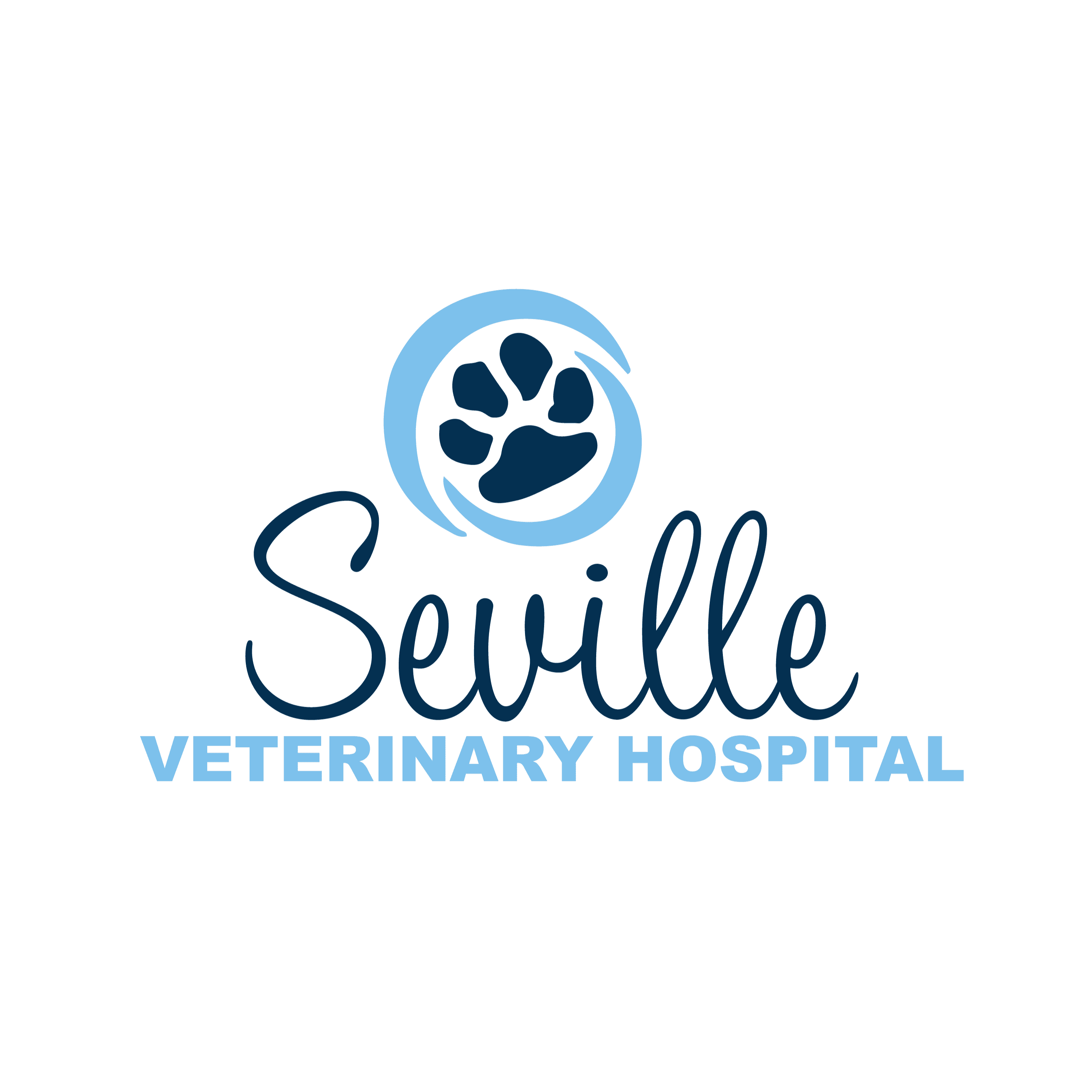 Seville Veterinary Hospital