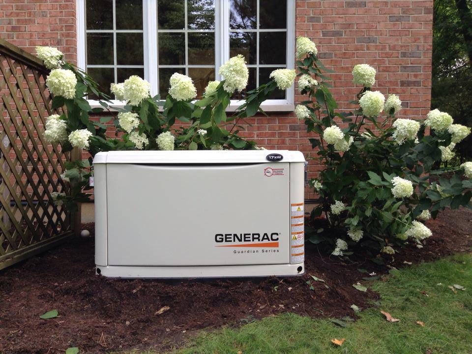 Diverse Generator LLC