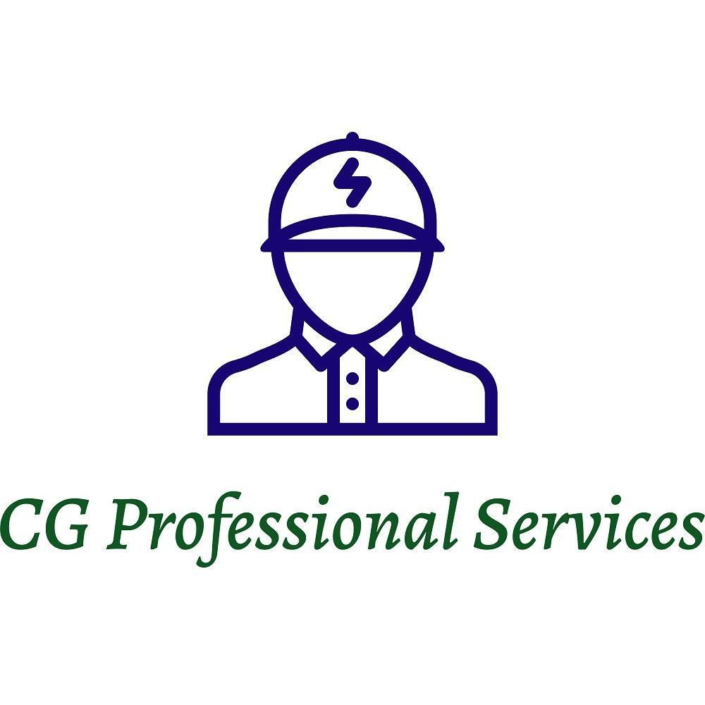 CG PROFESSIONAL SERVICES