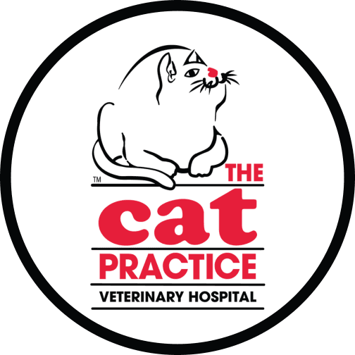 The Cat Practice