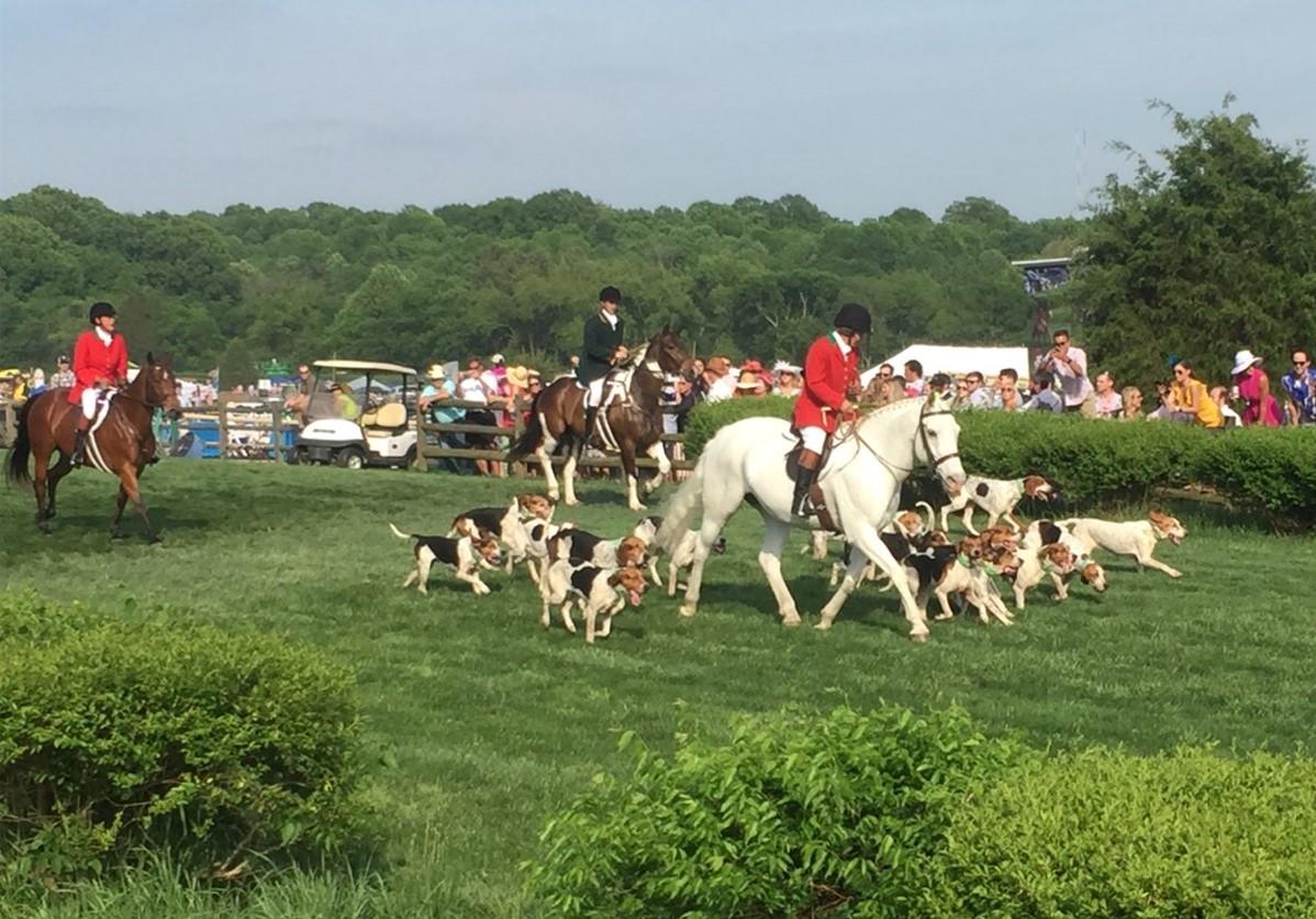 Volunteer State Horsemen's Foundation