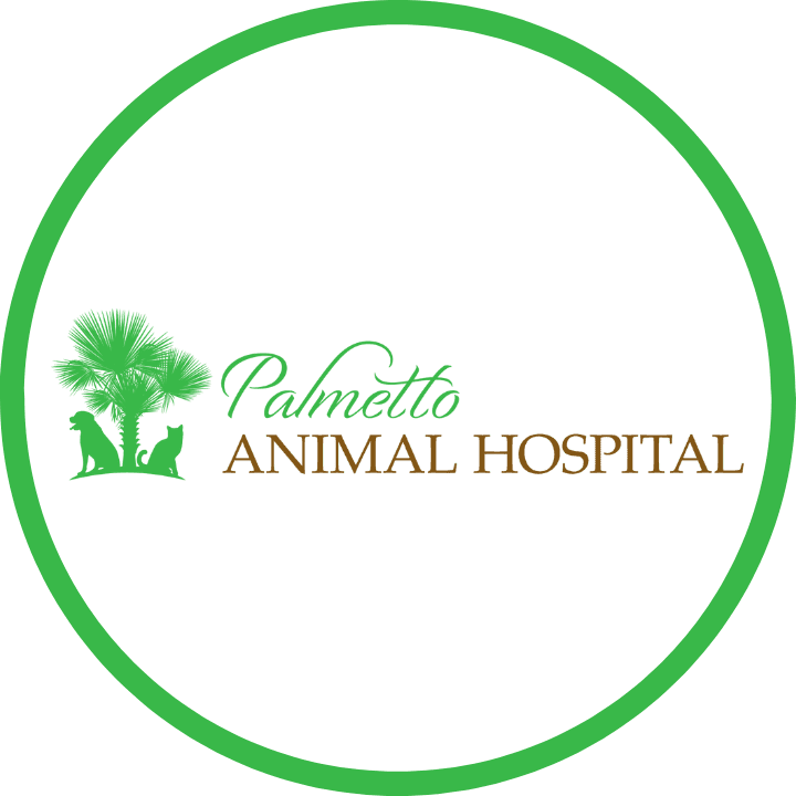 Palmetto Animal Hospital