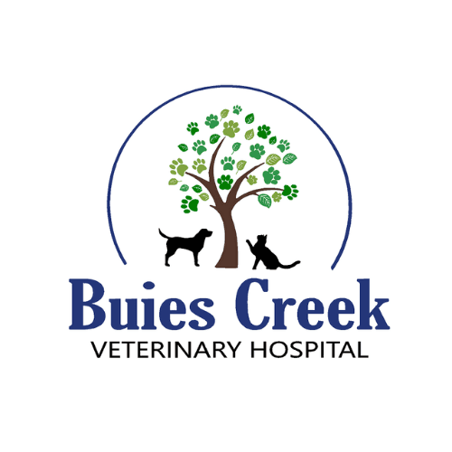 Buies Creek Veterinary Hospital and Dental Clinic