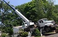 Bob McGrath's Tree Service, LLC