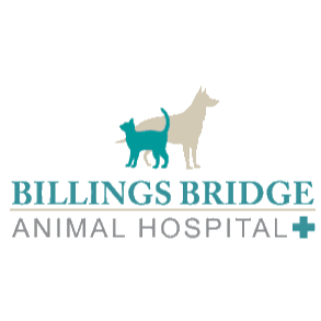 Billings Bridge Animal Hospital