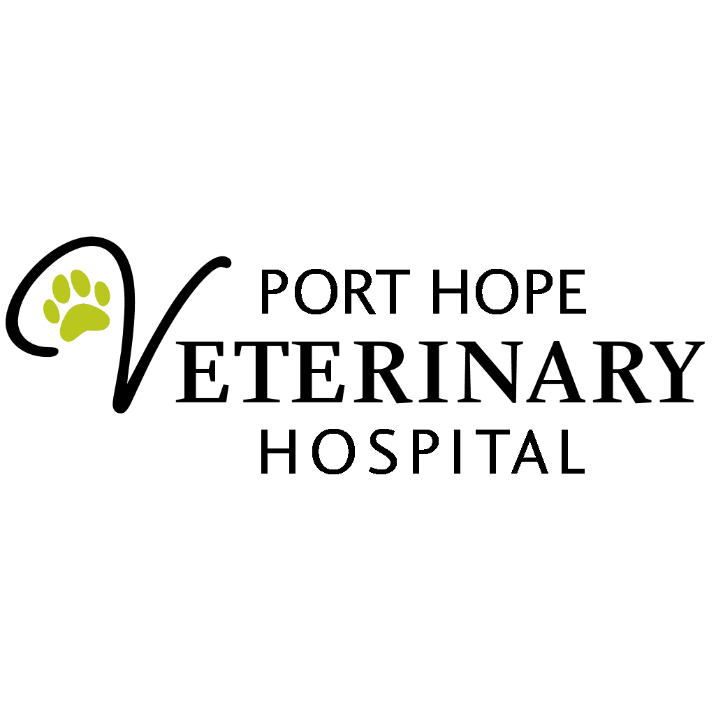 Port Hope Veterinary Hospital