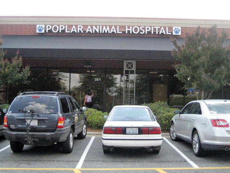 Poplar Animal Hospital