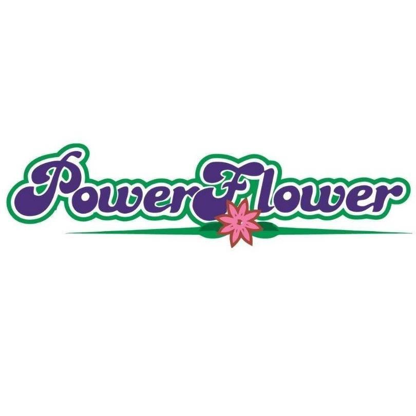 Power Flower Limited