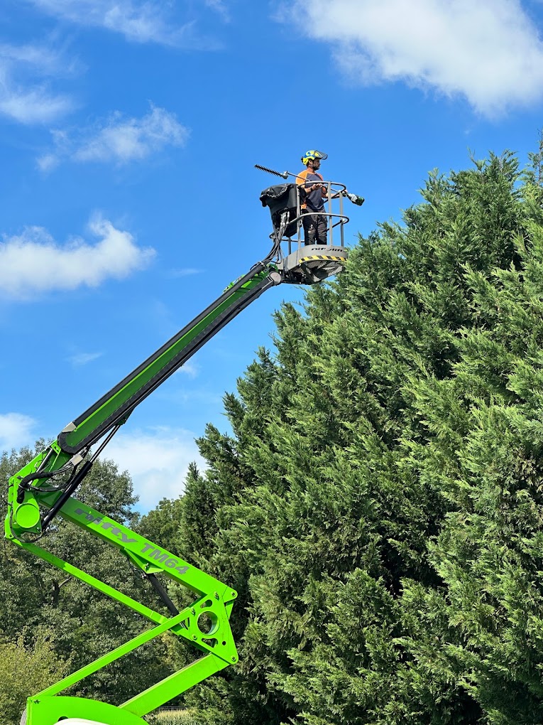 Lancaster Tree care