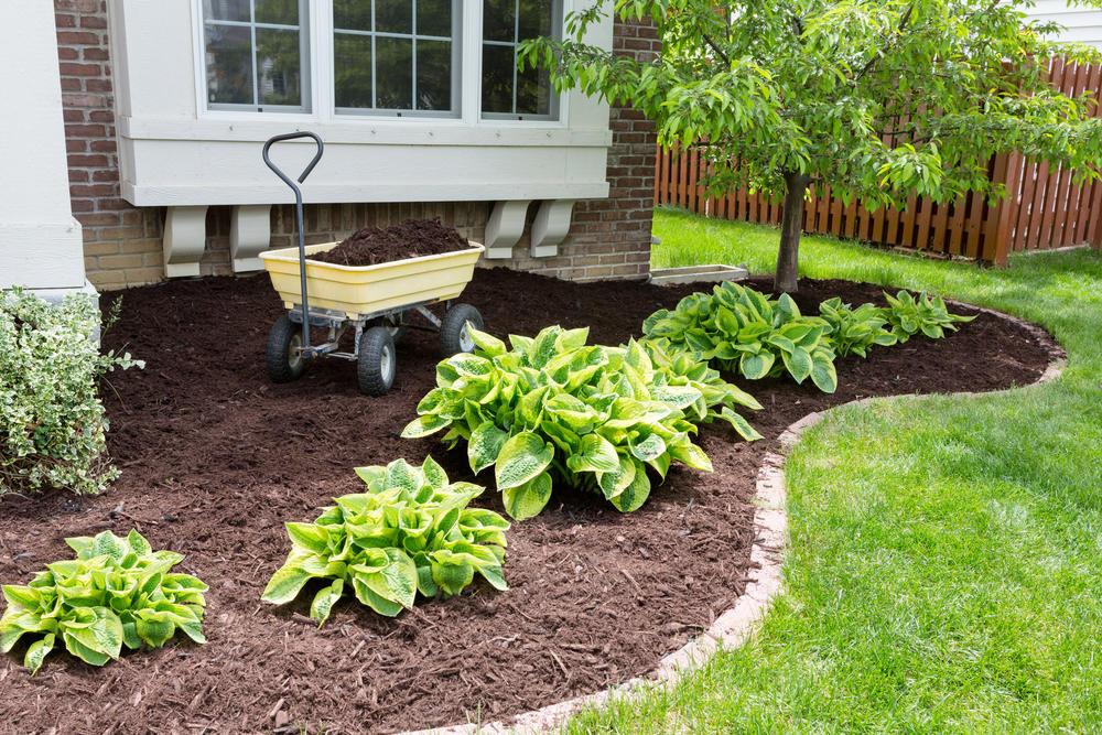 Romero Landscaping and Maintenance