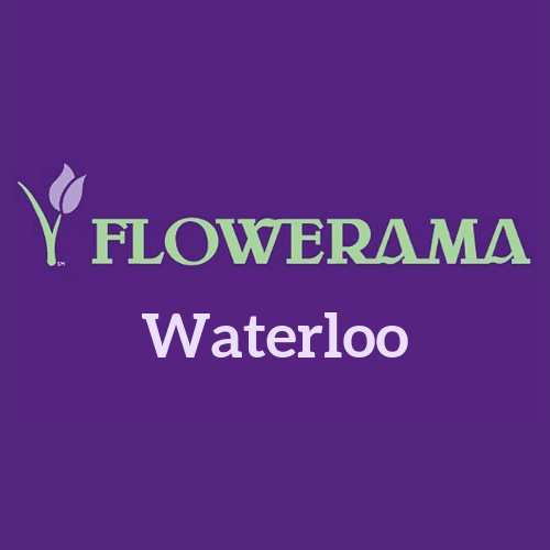 Flowerama Waterloo