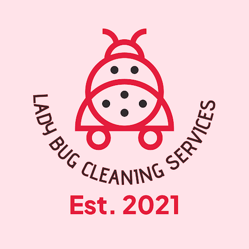 Lady Bug Cleaning Services