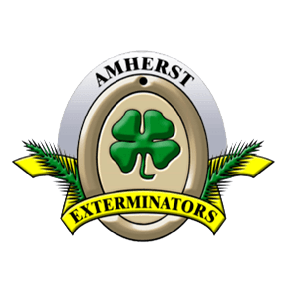 Amherst Exterminators