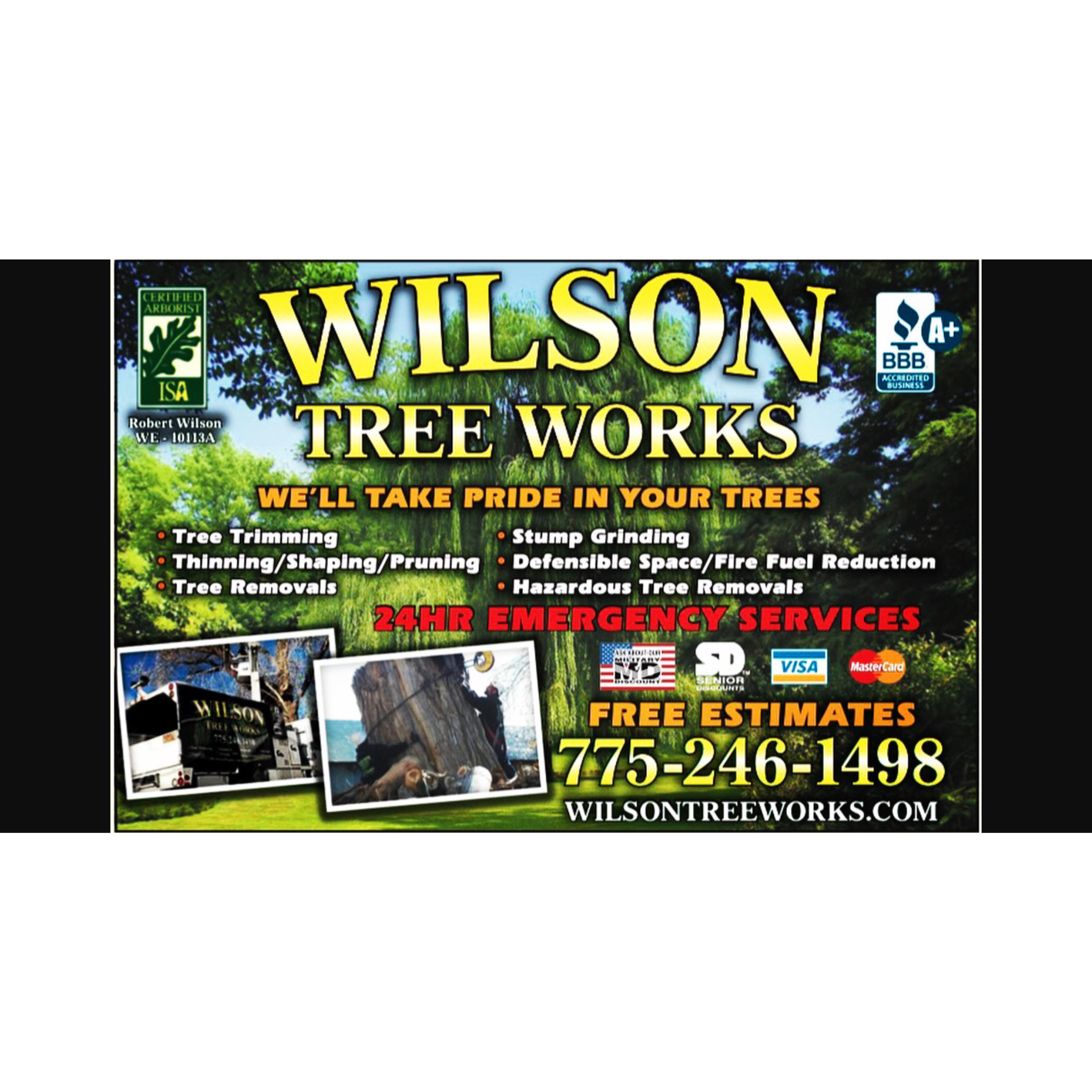 Wilson Tree Works