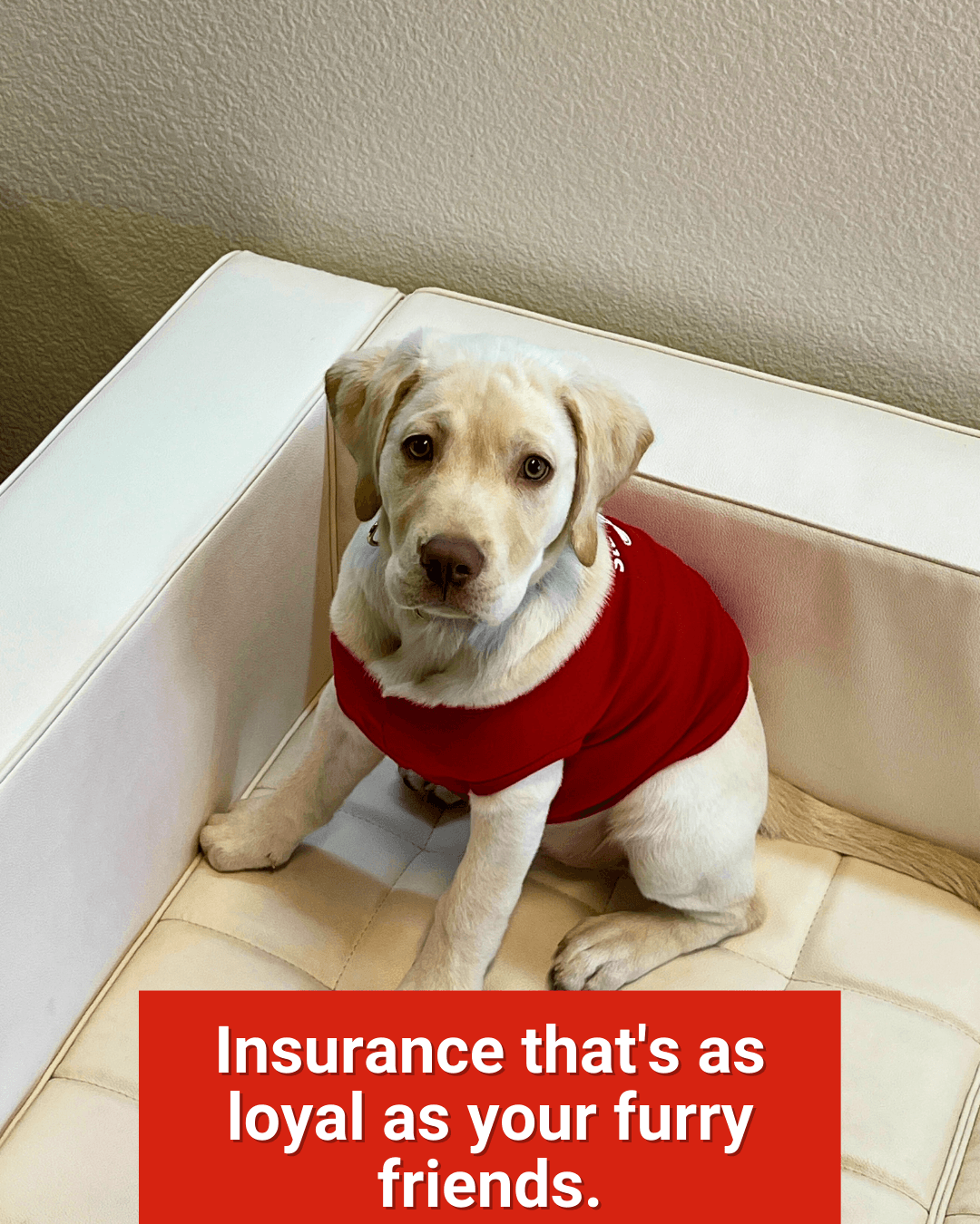 Jake Johnston - State Farm Insurance Agent