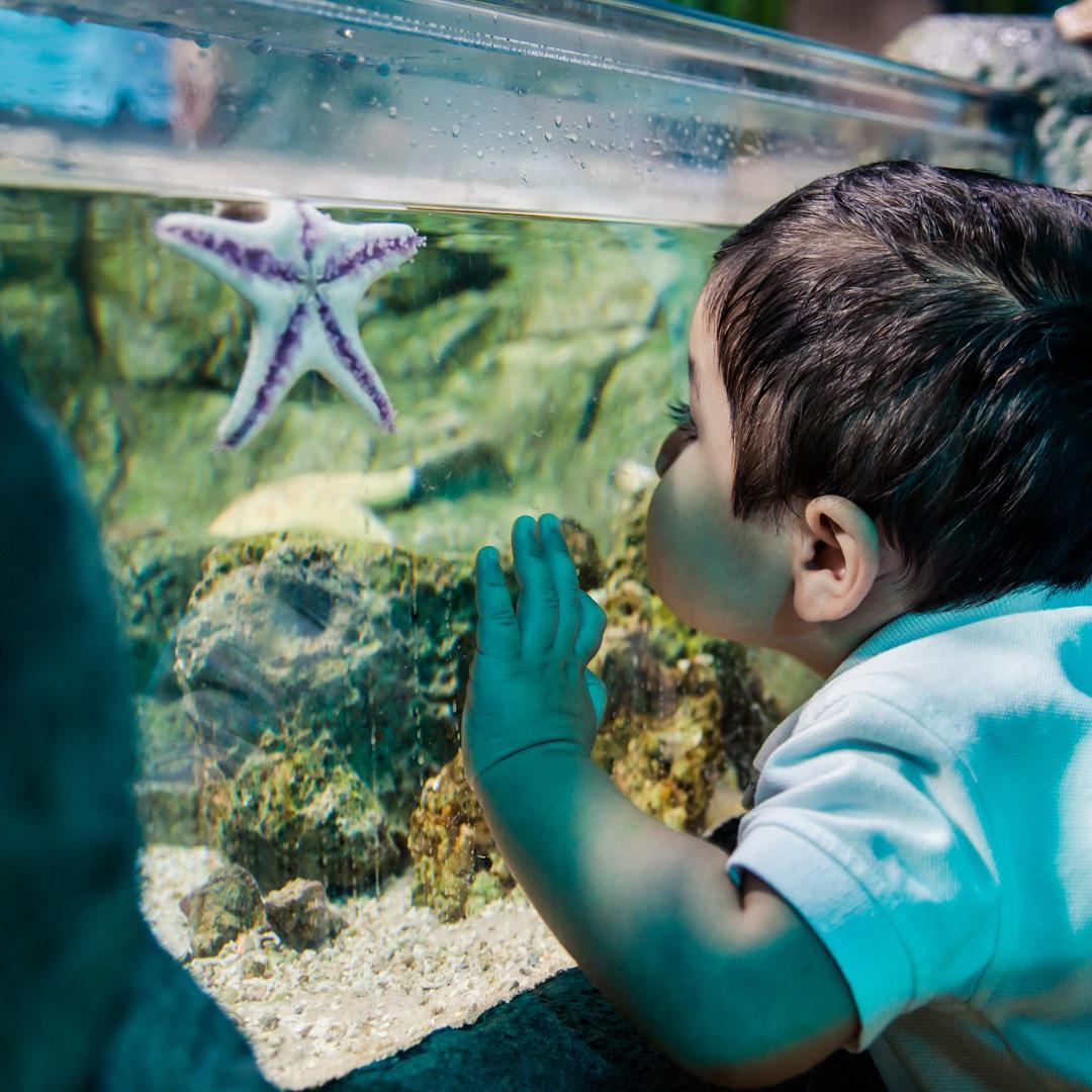 SEA LIFE New Jersey Aquarium