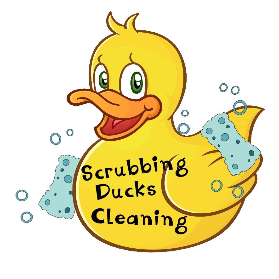 Scrubbing Ducks Cleaning