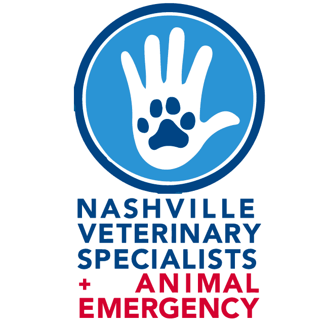 Nashville Veterinary Specialists + Animal Emergency