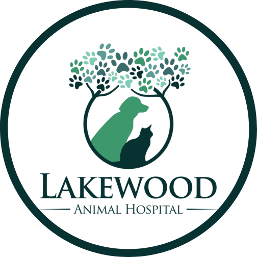 Lakewood Animal Hospital