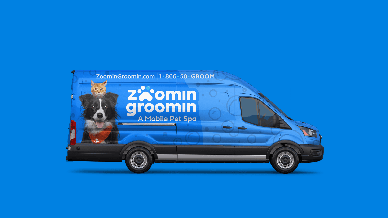 Zoomin Groomin - Brooklyn, Greenpoint, Williamsburg, NY