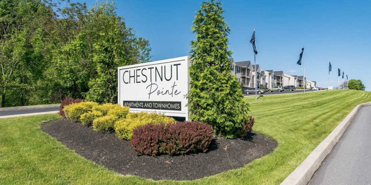 Chestnut Pointe Apartments