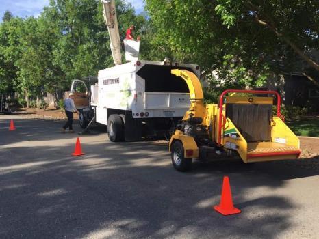 Robert Tompkins Tree Service