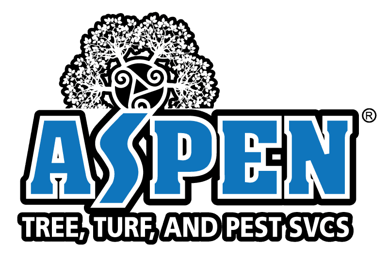 Aspen Services, Inc.