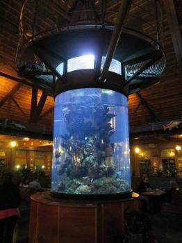 Champion Aquariums